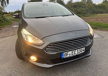Ford S-Max *** 2,0 TDCi Titanium KAM DAB GARANTIE*TOP*