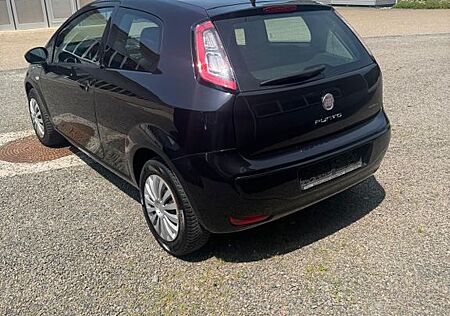 Fiat Punto gebraucht kaufen Fiat Punto 1.4 8V Start&Stopp MyLife MyLife