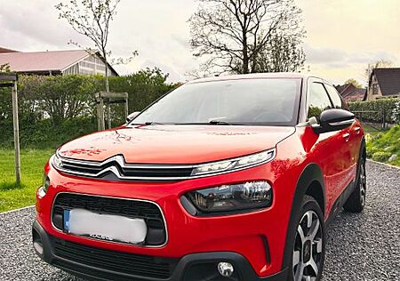 Citroën C4 Cactus BlueHDi 100 S&S Shine Shine