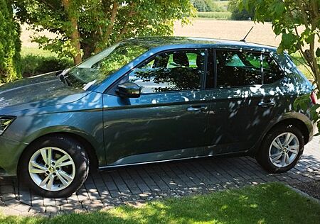 Skoda Fabia 1.0 TSI 70kW LED Keyles go Kamera Rück