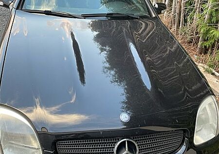 Mercedes-Benz SLK 200 KOMPRESSOR Final Edition Final Edition