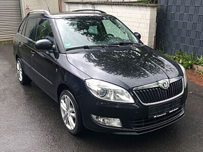Skoda Fabia 1.2l TSI 63kW Style Edition Combi/SHZ/PDC