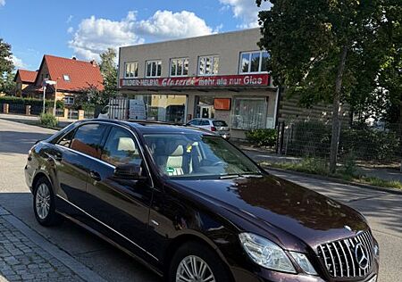 Mercedes-Benz E 220 CDI BlueEFFICIENCY ELEGANCE ELEGANCE
