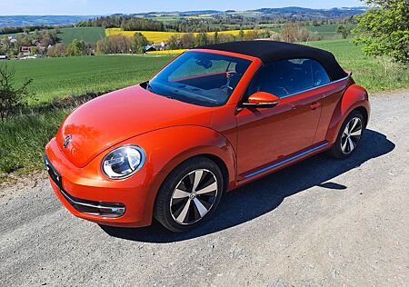 VW Beetle Volkswagen 1.2 TSI BMT ALLSTAR Cabriolet ALLSTAR