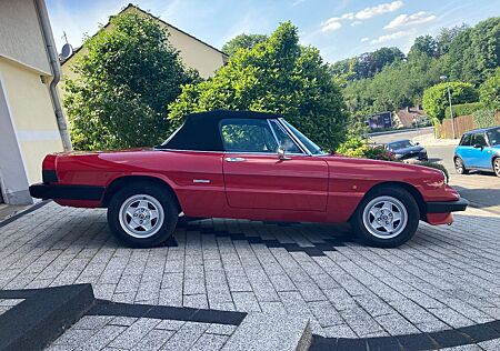 Alfa Romeo Spider