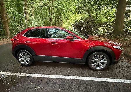 Mazda CX-30 2.0 e-SKYACTIV-G M-Hybrid 150 Selectio...