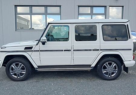 Mercedes-Benz G 350 G BlueTec TV Vollausstattung