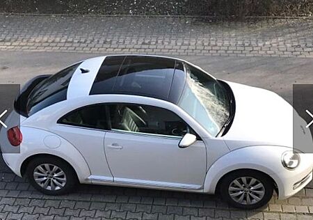VW New Beetle Volkswagen