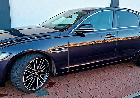 Jaguar XF 20d Portfolio/Vollausst. Scheckheft, Gepflegt