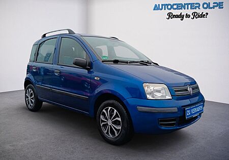 Fiat Panda **ERST 65TKM-AUTOMATIK**