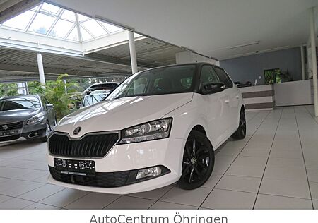 Skoda Fabia Ambition ACC Navi PDC Kamera Mult AppCarPl
