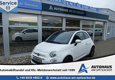 Fiat 500 1.2 Collezione PANO NAVI KLIMA PDC ALLWETTER
