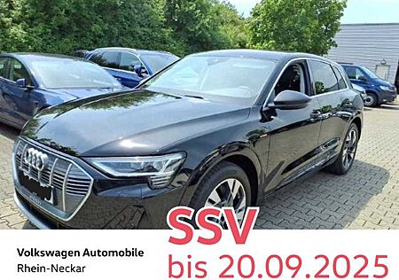 Audi e-tron 50 S-Line quattro Kamera Presense Li