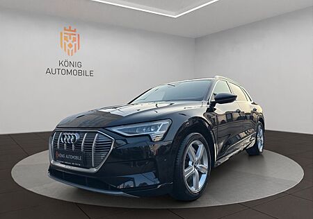 Audi e-tron 50 quattro advanced/LED/NAV/LM/SHZ