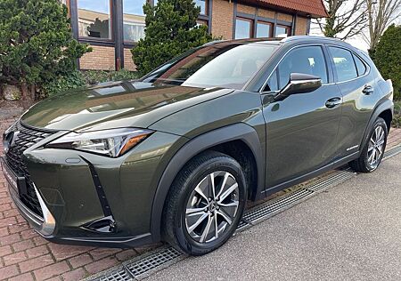 Lexus UX 300e EXECUTIVE PAKETE