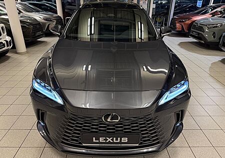 Lexus RX 350 RX 350H - PANORAMA-360 CAM-21 ZOLL-BI LED