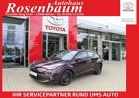 Toyota C-HR Hybrid Business Edition*LED*KAMERA*SHZ*NAVI