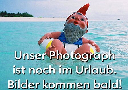 Audi Q7 3.0 TDI clean diesel quattro SLINE STANDHEIZU