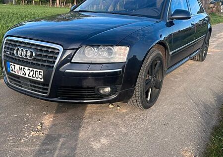 Audi A8 6.0 tiptronic quattro Langversion - Gasanlage