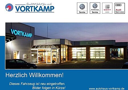 Skoda Karoq Style 2.0 TDI DSG Amundsen-Paket