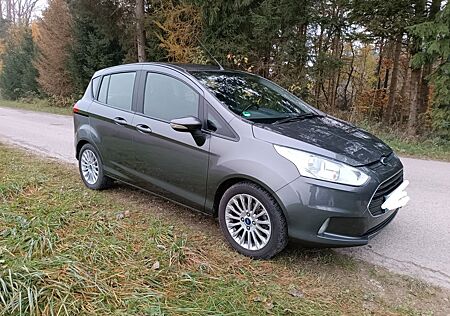 Ford B-Max 1,0 EcoBoost Trend 8fach bereift