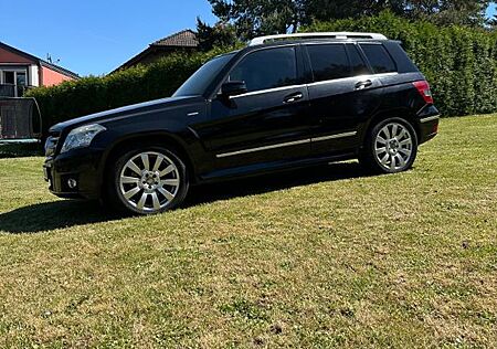 Mercedes-Benz GLK 200 CDI BlueEFFICIENCY -