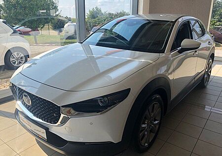 Mazda CX-30 2.0l Selection Allrad Automatik Design-Pak