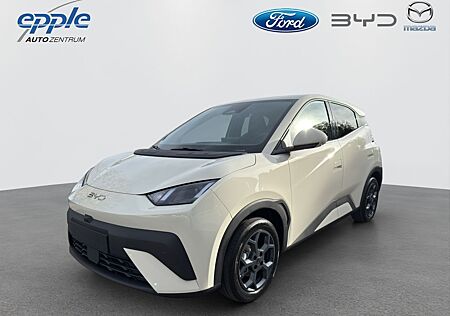 BYD DOLPHIN SURF Comfort