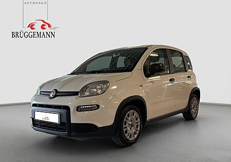 Fiat Panda 1,0 Hybrid Allwetterreifen/Klima/DAB