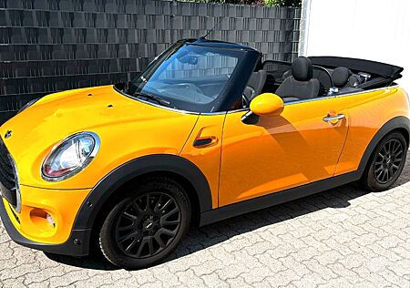 Mini Cooper Cabrio Automatik (Öl + Service NEU)