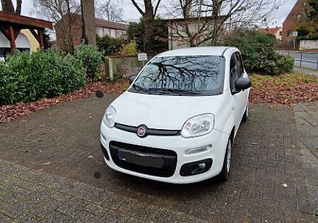 Fiat New Panda 1.2 8V EASY