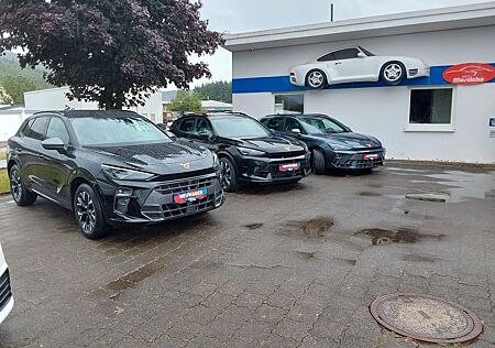 Cupra Formentor VZ 2.0 TSI 245 kW 4Drive AHK, NAVI
