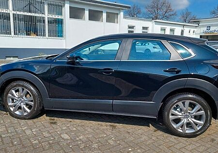 Mazda CX-3 CX-30 Selection TOP-ZUSTAND! 17.000 KM!