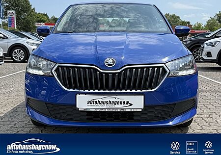 Skoda Fabia 1.0 MPI Active Euro6d Klima/eFH./Ganzjahresreife