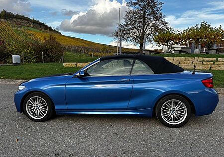 BMW 220i Cabrio M Sport Navi Kurvenlicht Leder