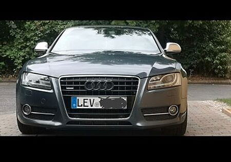 Audi A5 3.0 TDI (DPF) quattro -