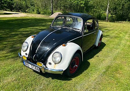 VW Käfer Volkswagen