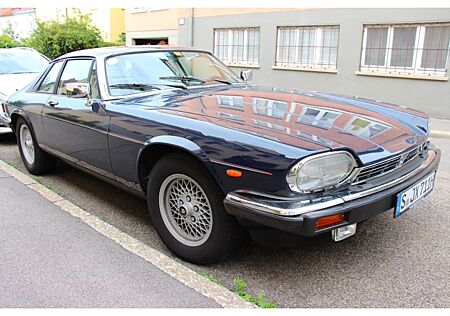 Jaguar XJS mit H-Kennzeichen