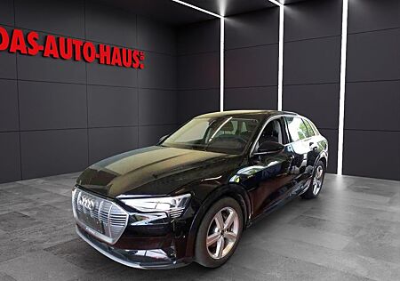Audi e-tron 55 quattro 8 x Alu Matrix advanced