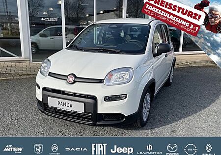 Fiat Panda 1.0 Mild Hybrid Klima/PDC/DAB/Bluetooth