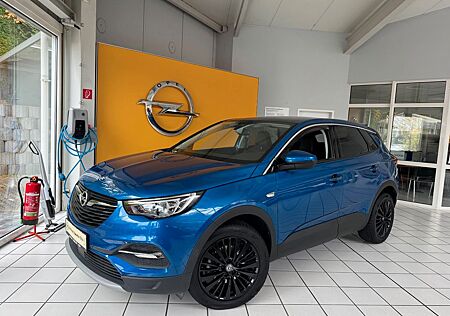 Opel Grandland X Innovation Navi+Kamera+Panormadach