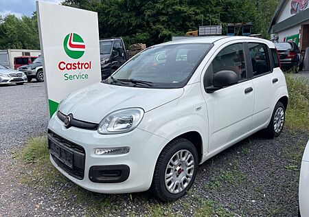 Fiat Panda Easy