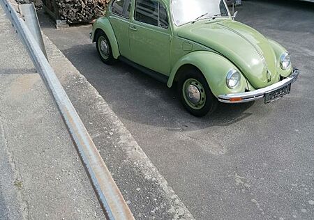VW Käfer Volkswagen