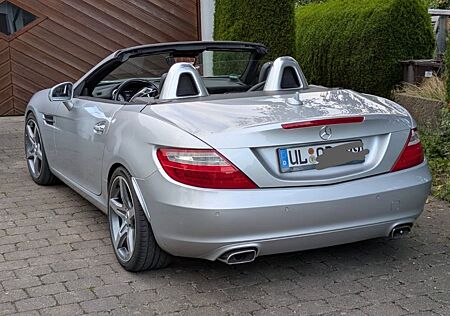 Mercedes-Benz SLK 250 CDI Autom. R172, BlueEfficiency