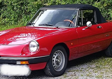 Alfa Romeo Spider