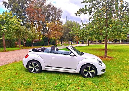 VW New Beetle Volkswagen