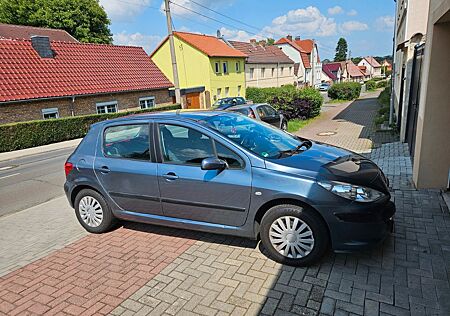 Peugeot 307 Grand Filou Cool 110 Grand Filou Cool
