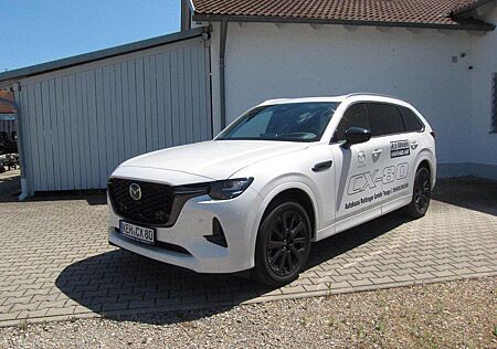 Mazda CX-80 3.3L e-SKYACTIV D 254ps 6 Zylinder / 360°