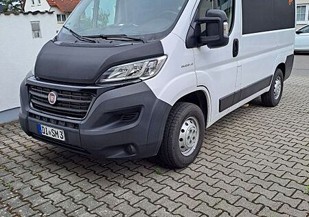 Fiat Ducato Kasten L1H1 Renntransporter