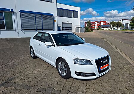 Audi A3 1.6 Ambition Ambition
